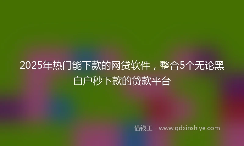 2025年热门能下款的网贷软件，整合5个无论黑白户秒下款的贷款平台