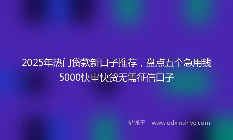 2025年热门贷款新口子推荐，盘点五个急用钱5000快审快贷无需征信口子