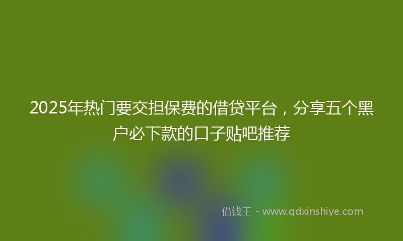 2025年热门要交担保费的借贷平台，分享五个黑户必下款的口子贴吧推荐