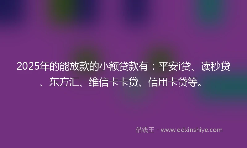 2025年的能放款的小额贷款有：平安i贷、读秒贷、东方汇、维信卡卡贷、信用卡贷等。