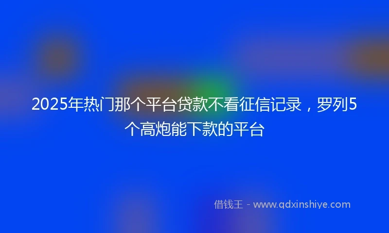 2025年热门那个平台贷款不看征信记录，罗列5个高炮能下款的平台