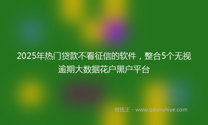 2025年热门贷款不看征信的软件，整合5个无视逾期大数据花户黑户平台