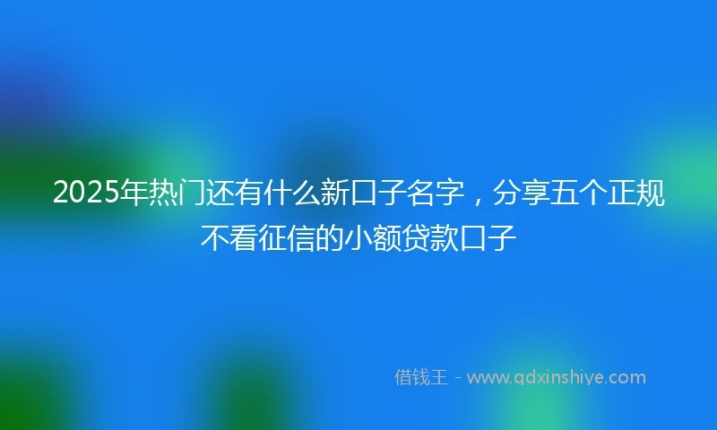 2025年热门还有什么新口子名字，分享五个正规不看征信的小额贷款口子