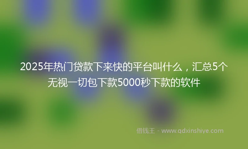 2025年热门贷款下来快的平台叫什么，汇总5个无视一切包下款5000秒下款的软件