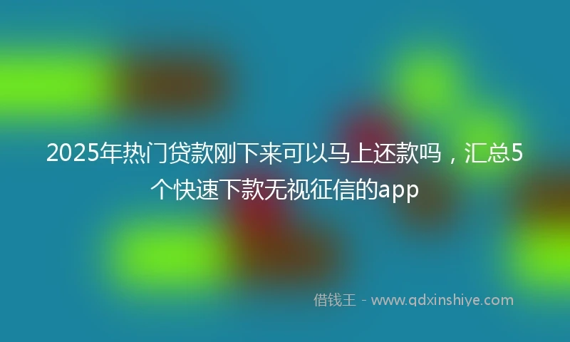 2025年热门贷款刚下来可以马上还款吗，汇总5个快速下款无视征信的app
