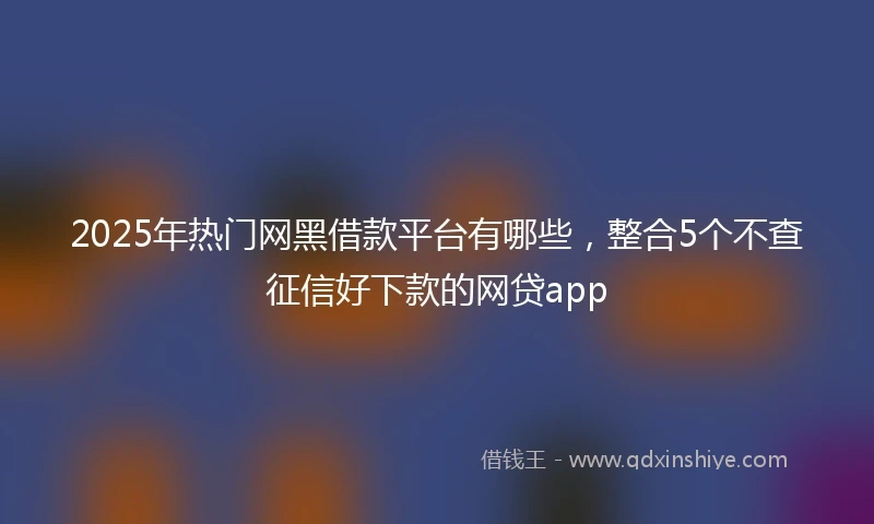 2025年热门网黑借款平台有哪些，整合5个不查征信好下款的网贷app