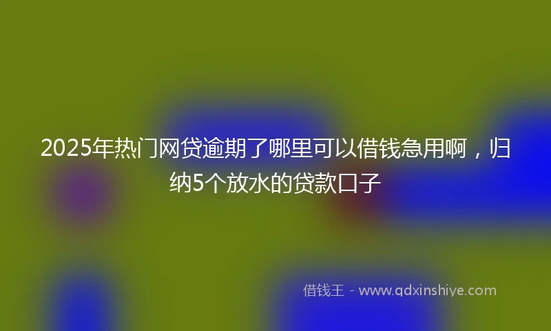 2025年热门网贷逾期了哪里可以借钱急用啊，归纳5个放水的贷款口子