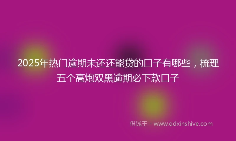 2025年热门逾期未还还能贷的口子有哪些,梳理五个高炮双黑逾期必下款口子