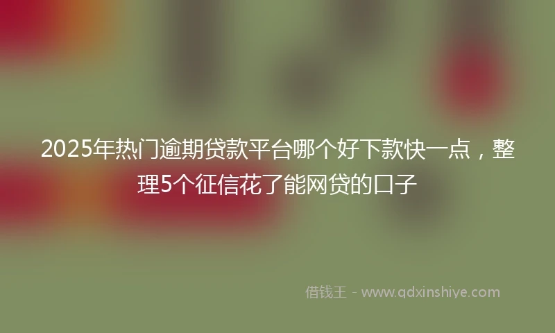 2025年热门逾期贷款平台哪个好下款快一点，整理5个征信花了能网贷的口子