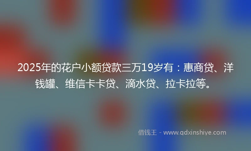 2025年的花户小额贷款三万19岁有：惠商贷、洋钱罐、维信卡卡贷、滴水贷、拉卡拉等。