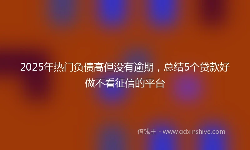 2025年热门负债高但没有逾期，总结5个贷款好做不看征信的平台