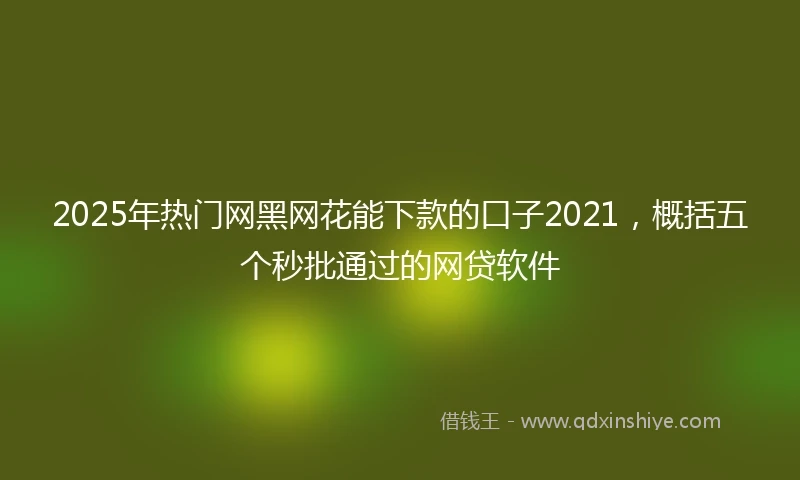 2025年热门网黑网花能下款的口子2021，概括五个秒批通过的网贷软件