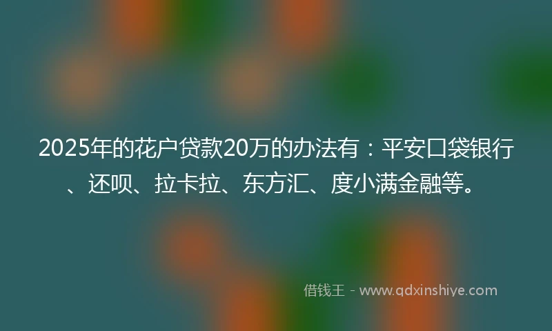 2025年的花户贷款20万的办法有：平安口袋银行、还呗、拉卡拉、东方汇、度小满金融等。