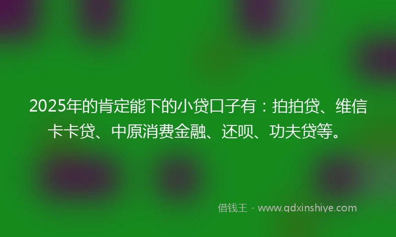 2025年的肯定能下的小贷口子有：拍拍贷、维信卡卡贷、中原消费金融、还呗、功夫贷等。