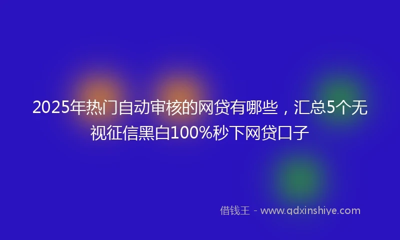 2025年热门自动审核的网贷有哪些，汇总5个无视征信黑白100%秒下网贷口子