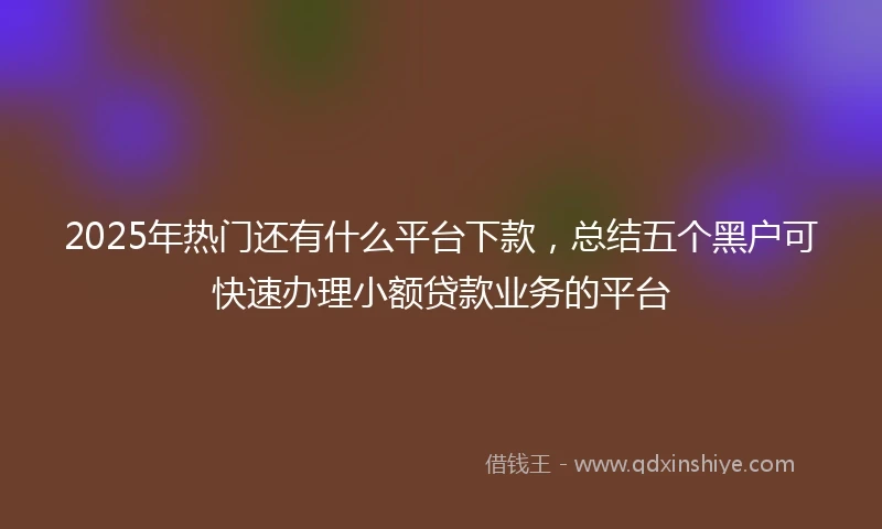 2025年热门还有什么平台下款，总结五个黑户可快速办理小额贷款业务的平台