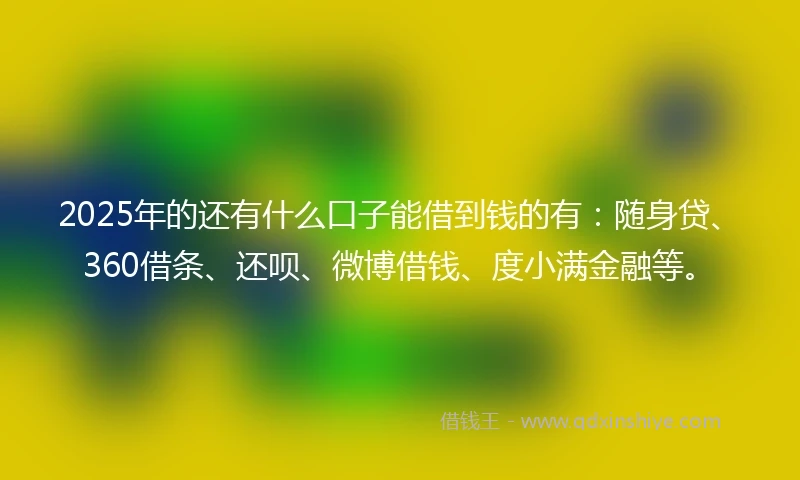 2025年的还有什么口子能借到钱的有：随身贷、360借条、还呗、微博借钱、度小满金融等。