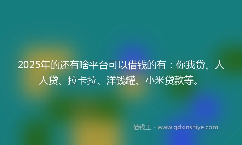 2025年的还有啥平台可以借钱的有：你我贷、人人贷、拉卡拉、洋钱罐、小米贷款等。
