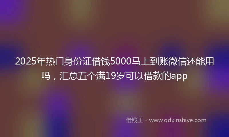2025年热门身份证借钱5000马上到账微信还能用吗，汇总五个满19岁可以借款的app