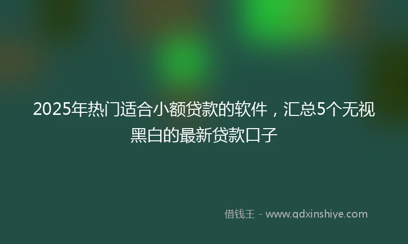 2025年热门适合小额贷款的软件，汇总5个无视黑白的最新贷款口子