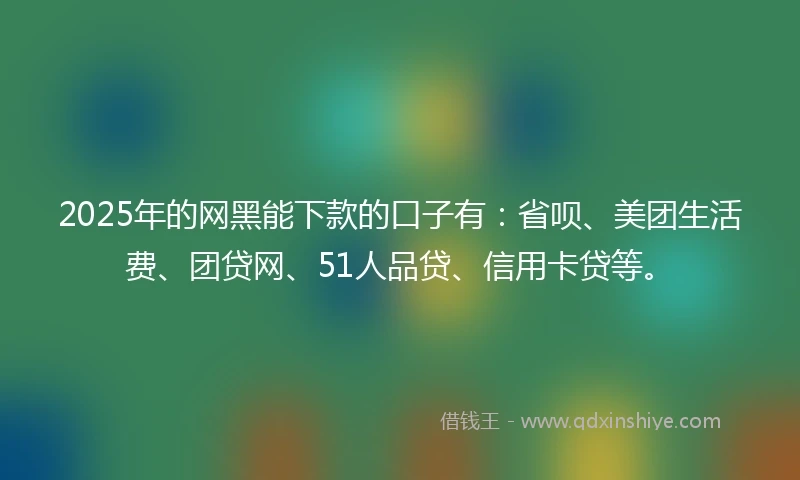 2025年的网黑能下款的口子有：省呗、美团生活费、团贷网、51人品贷、信用卡贷等。