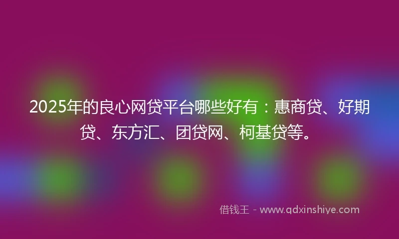 2025年的良心网贷平台哪些好有：惠商贷、好期贷、东方汇、团贷网、柯基贷等。