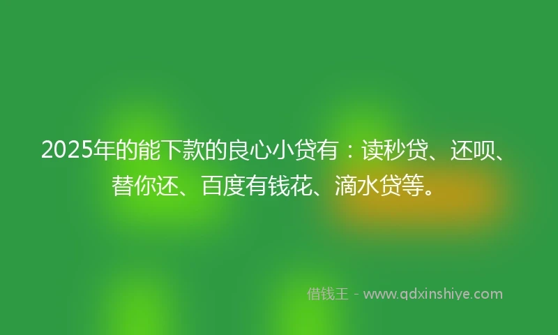 2025年的能下款的良心小贷有：读秒贷、还呗、替你还、百度有钱花、滴水贷等。