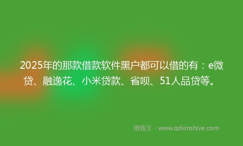 2025年的那款借款软件黑户都可以借的有：e微贷、融逸花、小米贷款、省呗、51人品贷等。