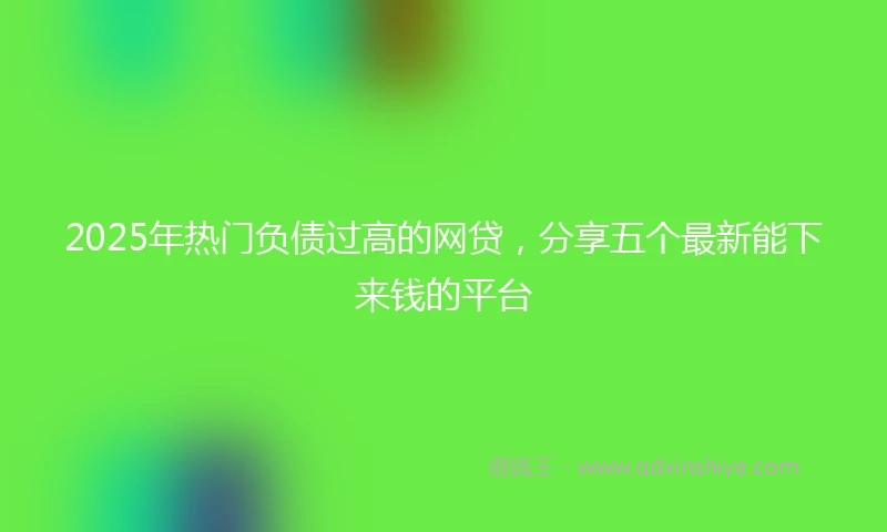 2025年热门负债过高的网贷，分享五个最新能下来钱的平台