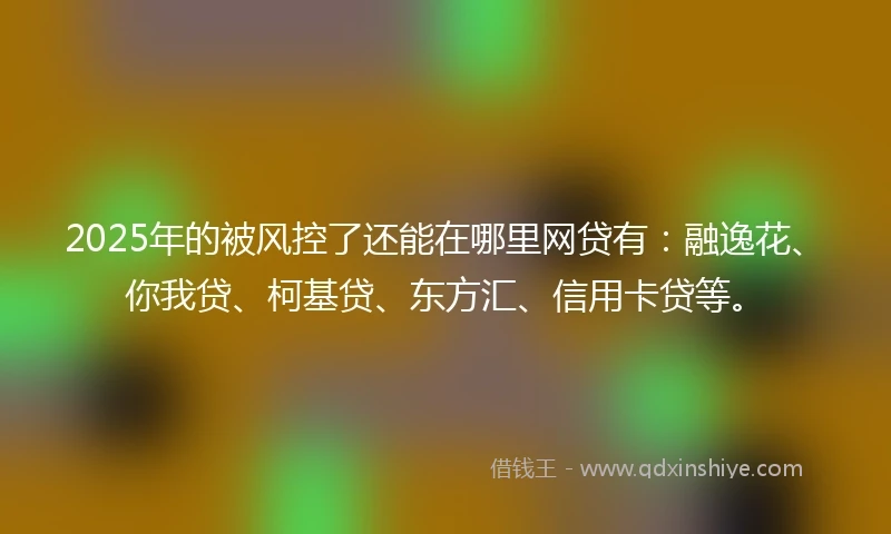 2025年的被风控了还能在哪里网贷有：融逸花、你我贷、柯基贷、东方汇、信用卡贷等。