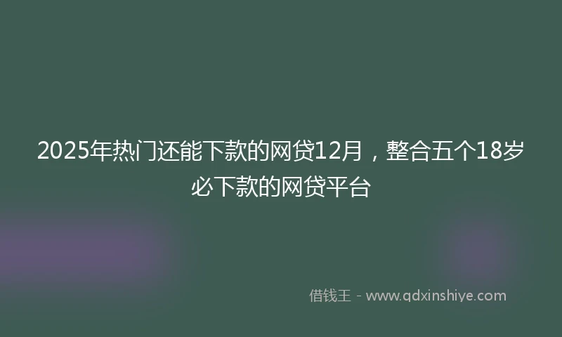 2025年热门还能下款的网贷12月，整合五个18岁必下款的网贷平台