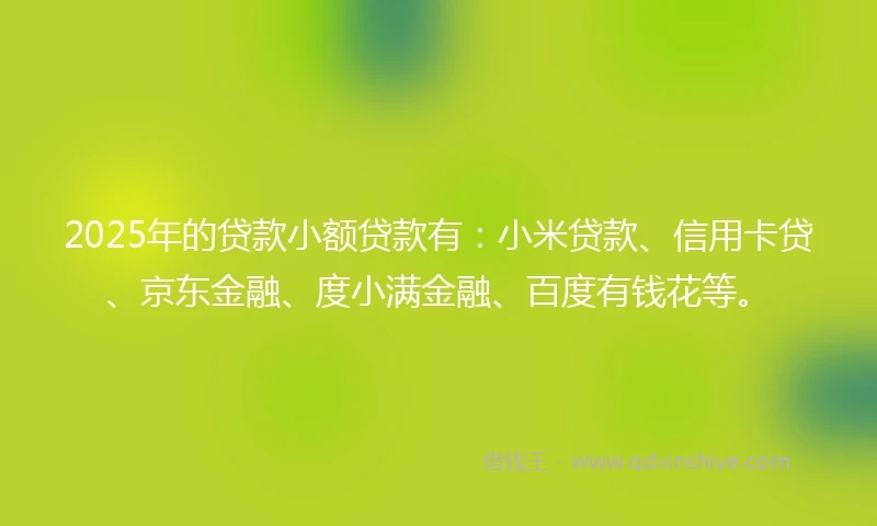 2025年的贷款小额贷款有：小米贷款、信用卡贷、京东金融、度小满金融、百度有钱花等。