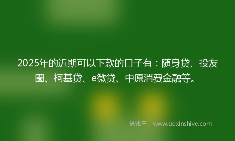 2025年的近期可以下款的口子有：随身贷、投友圈、柯基贷、e微贷、中原消费金融等。