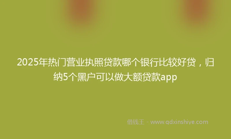 2025年热门营业执照贷款哪个银行比较好贷，归纳5个黑户可以做大额贷款app