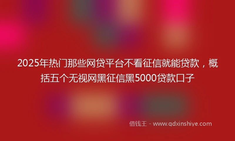 2025年热门那些网贷平台不看征信就能贷款，概括五个无视网黑征信黑5000贷款口子
