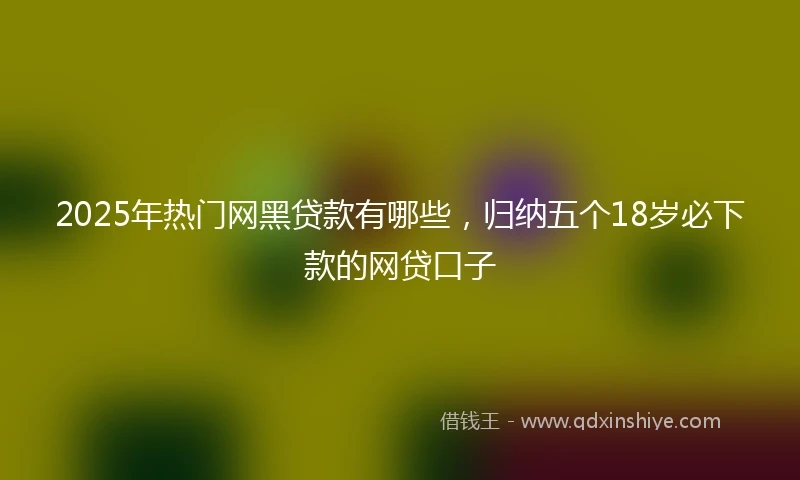 2025年热门网黑贷款有哪些，归纳五个18岁必下款的网贷口子