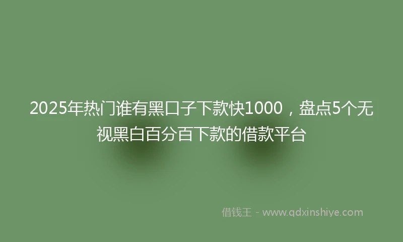 2025年热门谁有黑口子下款快1000,盘点5个无视黑白百分百下款的借款平台