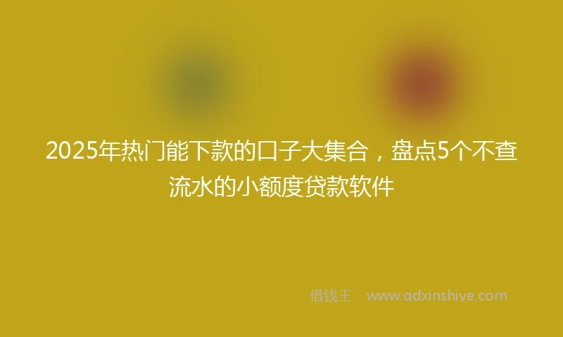 2025年热门能下款的口子大集合，盘点5个不查流水的小额度贷款软件