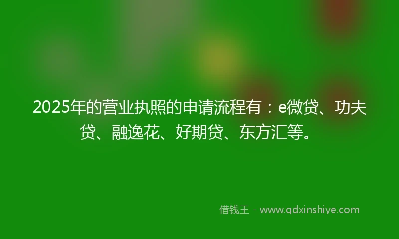 2025年的营业执照的申请流程有：e微贷、功夫贷、融逸花、好期贷、东方汇等。