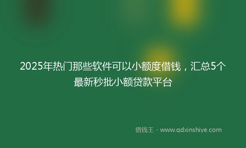 2025年热门那些软件可以小额度借钱，汇总5个最新秒批小额贷款平台