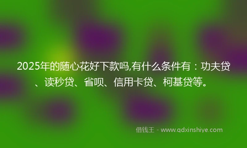 2025年的随心花好下款吗,有什么条件有：功夫贷、读秒贷、省呗、信用卡贷、柯基贷等。