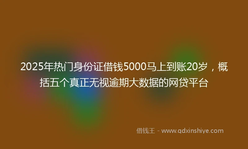 2025年热门身份证借钱5000马上到账20岁，概括五个真正无视逾期大数据的网贷平台