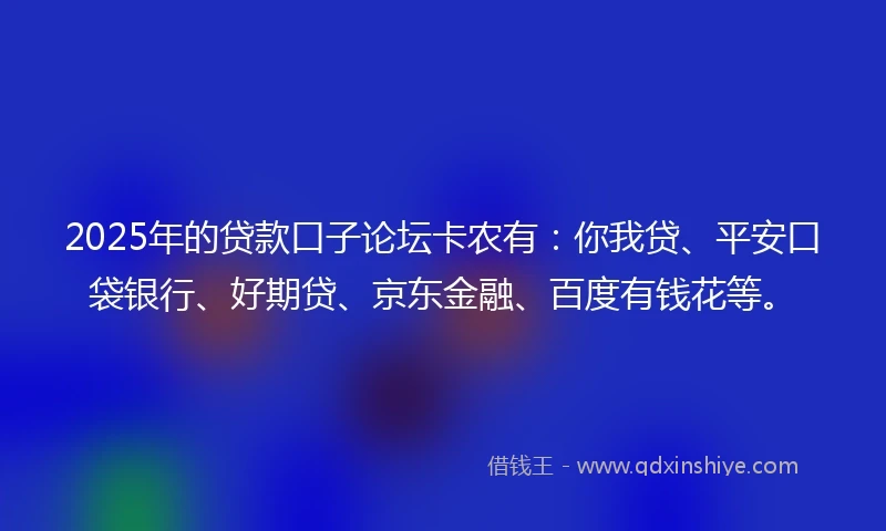 2025年的贷款口子论坛卡农有：你我贷、平安口袋银行、好期贷、京东金融、百度有钱花等。