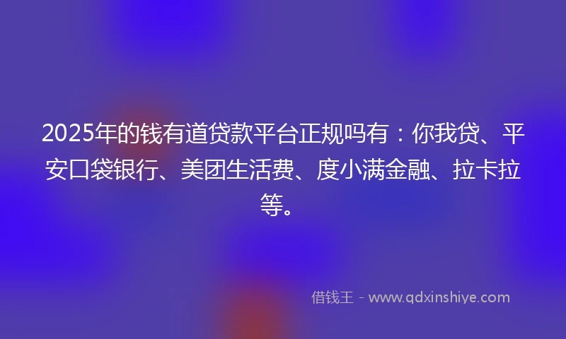 2025年的钱有道贷款平台正规吗有：你我贷、平安口袋银行、美团生活费、度小满金融、拉卡拉等。