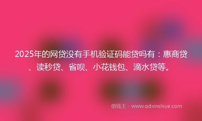 2025年的网贷没有手机验证码能贷吗有：惠商贷、读秒贷、省呗、小花钱包、滴水贷等。
