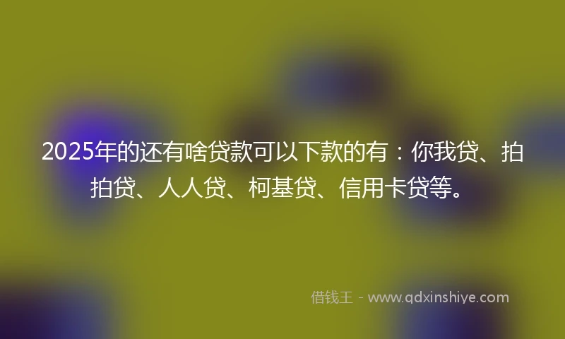 2025年的还有啥贷款可以下款的有：你我贷、拍拍贷、人人贷、柯基贷、信用卡贷等。