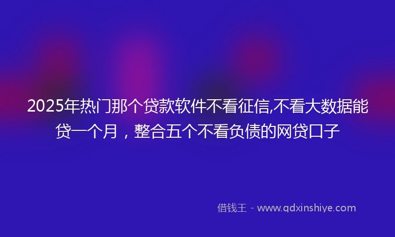 2025年热门那个贷款软件不看征信,不看大数据能贷一个月,整合五个不看负债的网贷口子