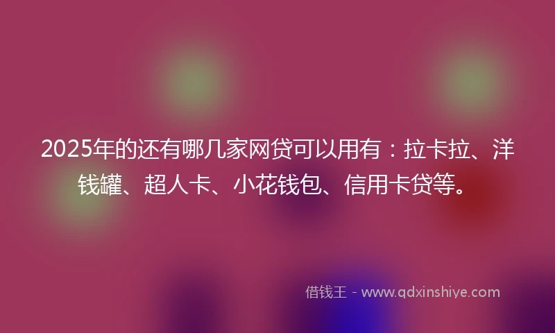 2025年的还有哪几家网贷可以用有：拉卡拉、洋钱罐、超人卡、小花钱包、信用卡贷等。