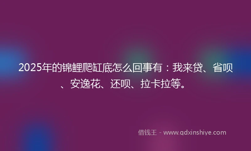 2025年的锦鲤爬缸底怎么回事有：我来贷、省呗、安逸花、还呗、拉卡拉等。