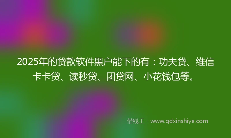 2025年的贷款软件黑户能下的有：功夫贷、维信卡卡贷、读秒贷、团贷网、小花钱包等。